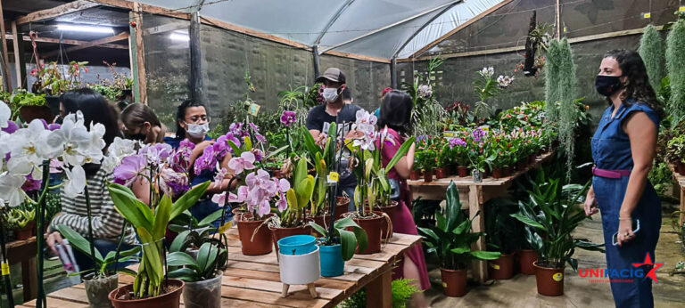 Alunos de Arquitetura e Urbanismo fazem visita em empresa especializada em paisagismo