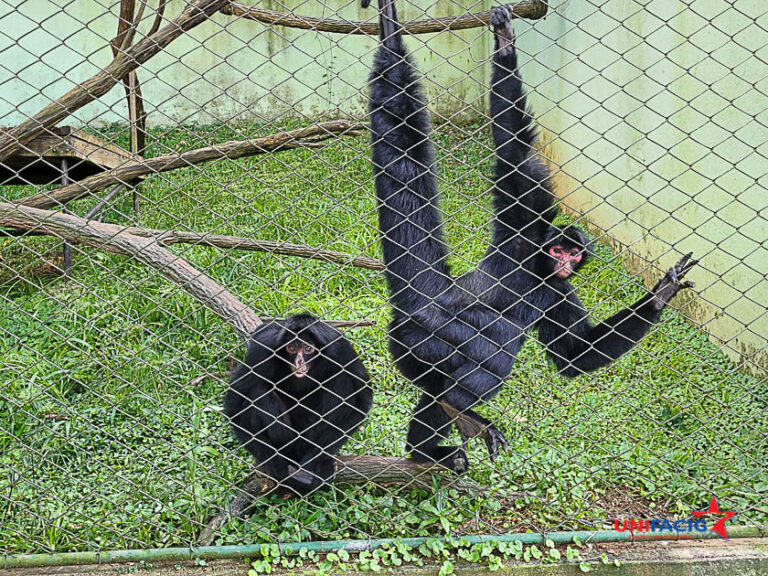 Curso de Medicina Veterinária do Centro Universitário UNIFACIG fecha parceria com o Zoo Park da Montanha – único Zoológico do Estado do Espírito Santo