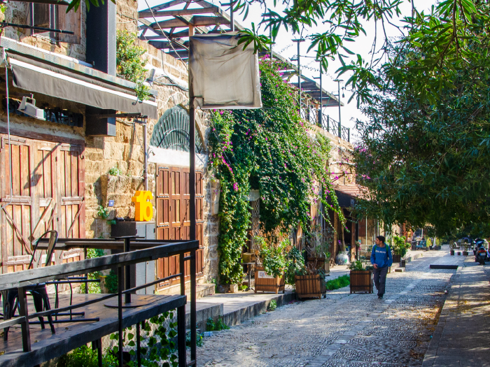 Mestrado em Desenvolvimento Local