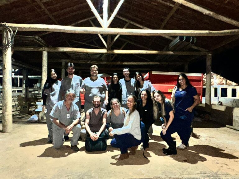 UNIFACIG leva alunos a campo para prática avançada em reprodução bovina